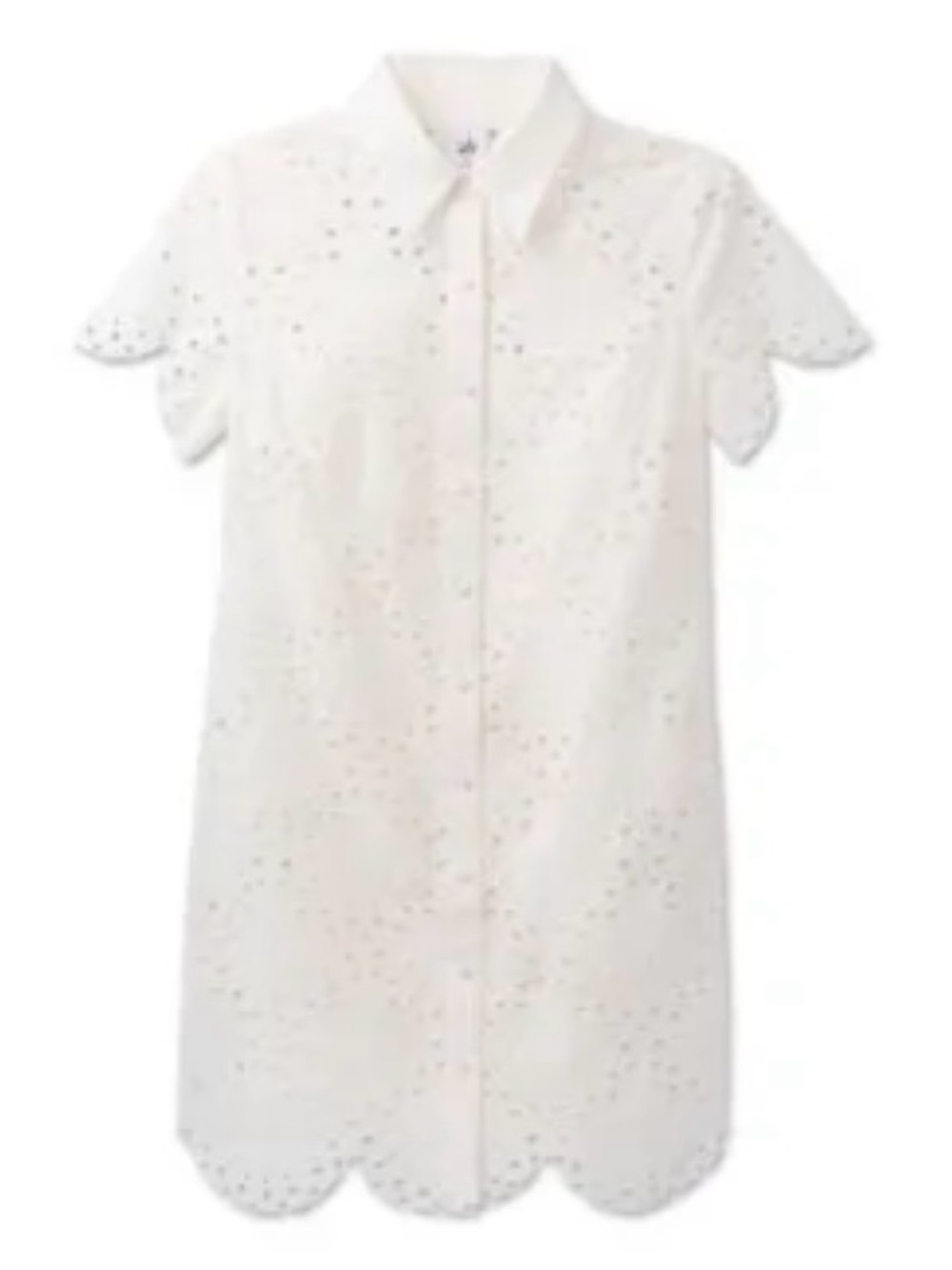 CAbi Eyelet Day Dress, Spring 2026, Size Medium, new